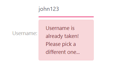 Username field with a non-unique username, which triggers our custom validator